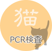 猫のPCR検査